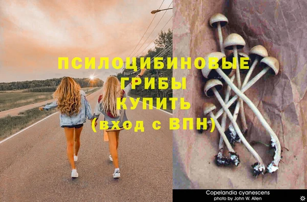 амф Армянск