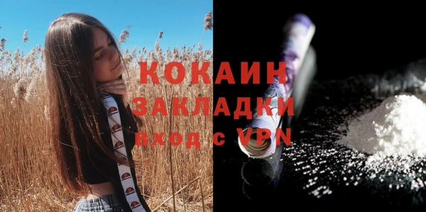 стаф Аркадак