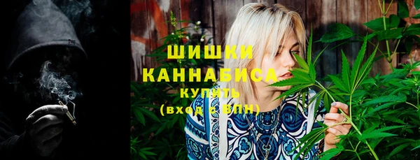 Альфа ПВП Инта