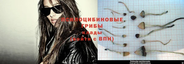 a pvp Арсеньев