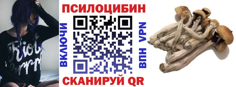 Псилоцибиновые грибы Cubensis  цена   дарк нет как зайти  Таруса 